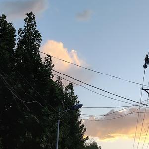 白胖老阿姨黄短视频免费观看下载
